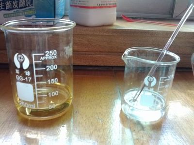 【实验贴】 久违的实验贴 -- 油脂皂化