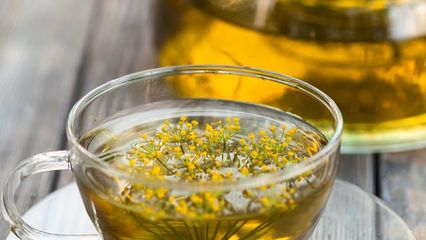 反式脂肪酸的秘密(上)