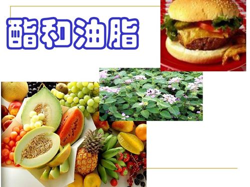 化学高中鲁科版必修二3.3酯和油脂下载 化学