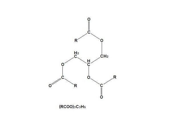 甘油三酯&middot;化学&middot;结构式