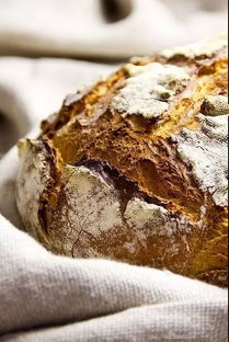 你知道烘焙的过程是怎样的吗