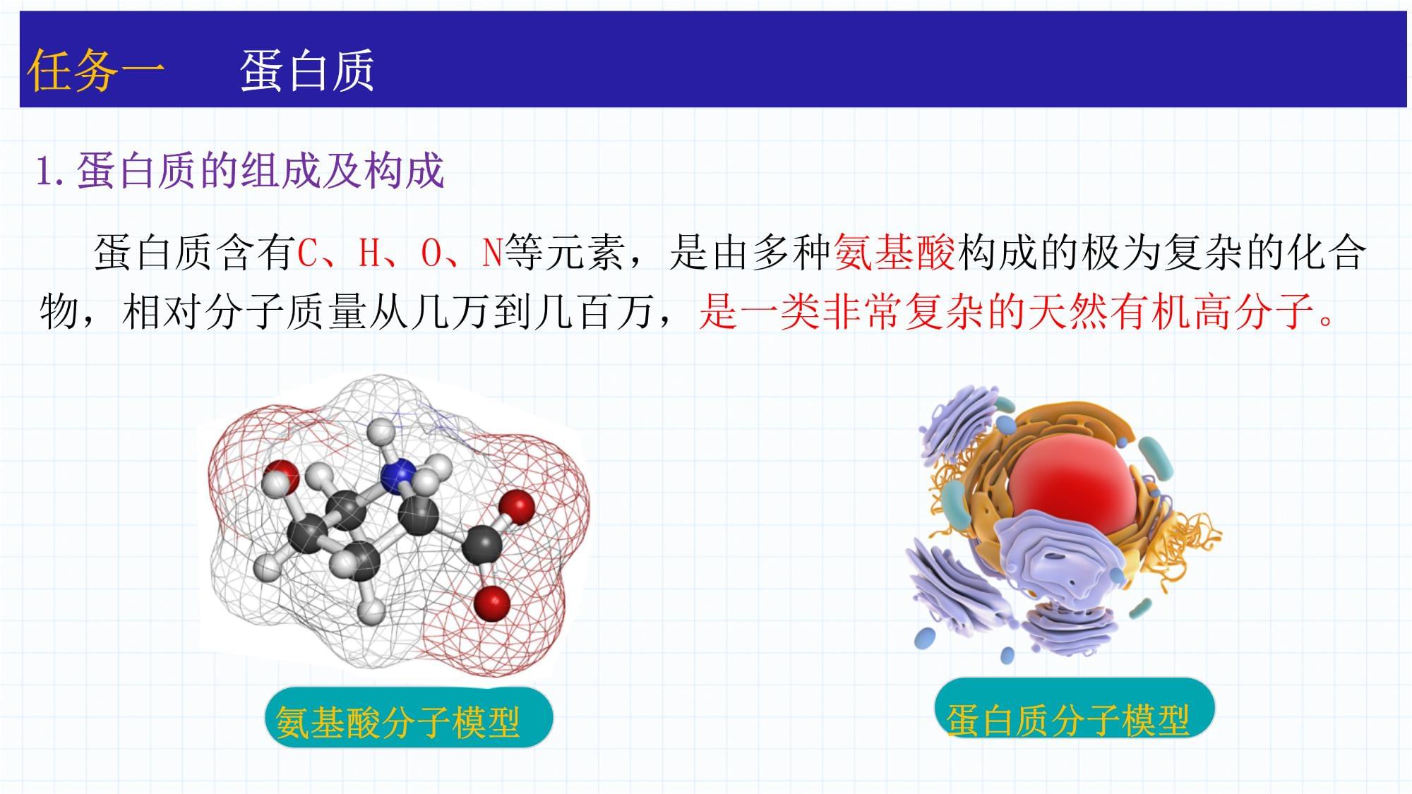 蛋白质油脂课件高一下学期化学人教版
