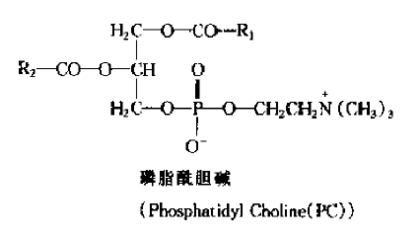 油脂 ,磷脂的结构式