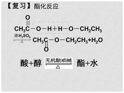 高中化学 第一章第二节 重要的体内能源油脂课件 人教版选修1