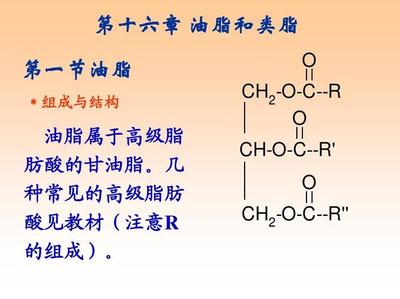 脂肪结构式