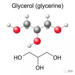 化学油脂 高考生物的“营养密码”与高分策略