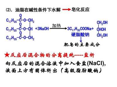 高中化学必修二 油脂与蛋白质的深度解析