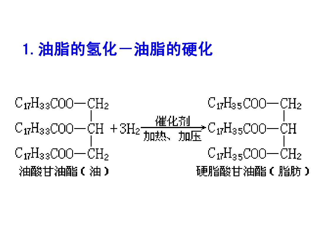 油脂 高三化学中的能量与生命基础