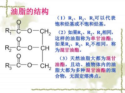 高一化学重要能源——油脂